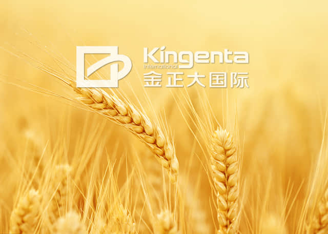 金正大生態(tài)工程集團股份有限公司