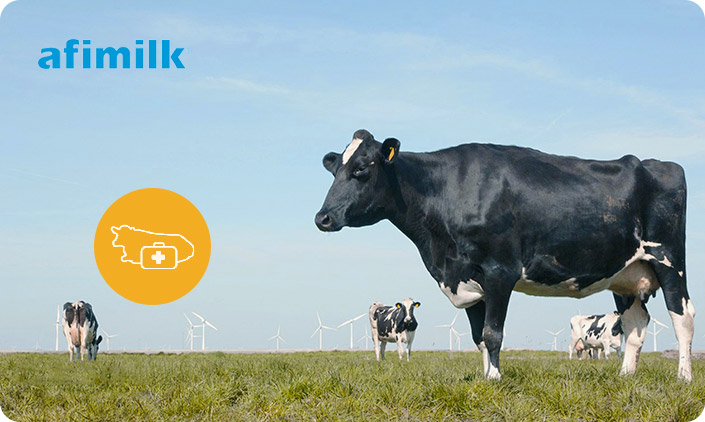 Afimilk—阿菲金中國