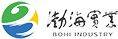 山東渤海實業集團