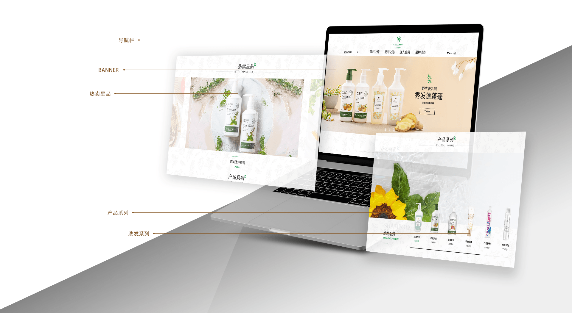 網(wǎng)站建設(shè)